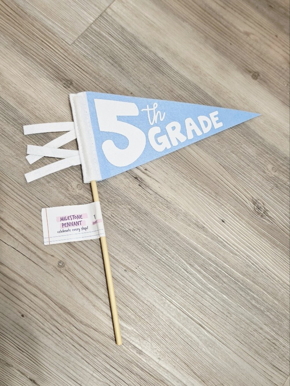 Target Bullseye Playground 2026 Milestone Felt Pennant Flag - 5th Grade